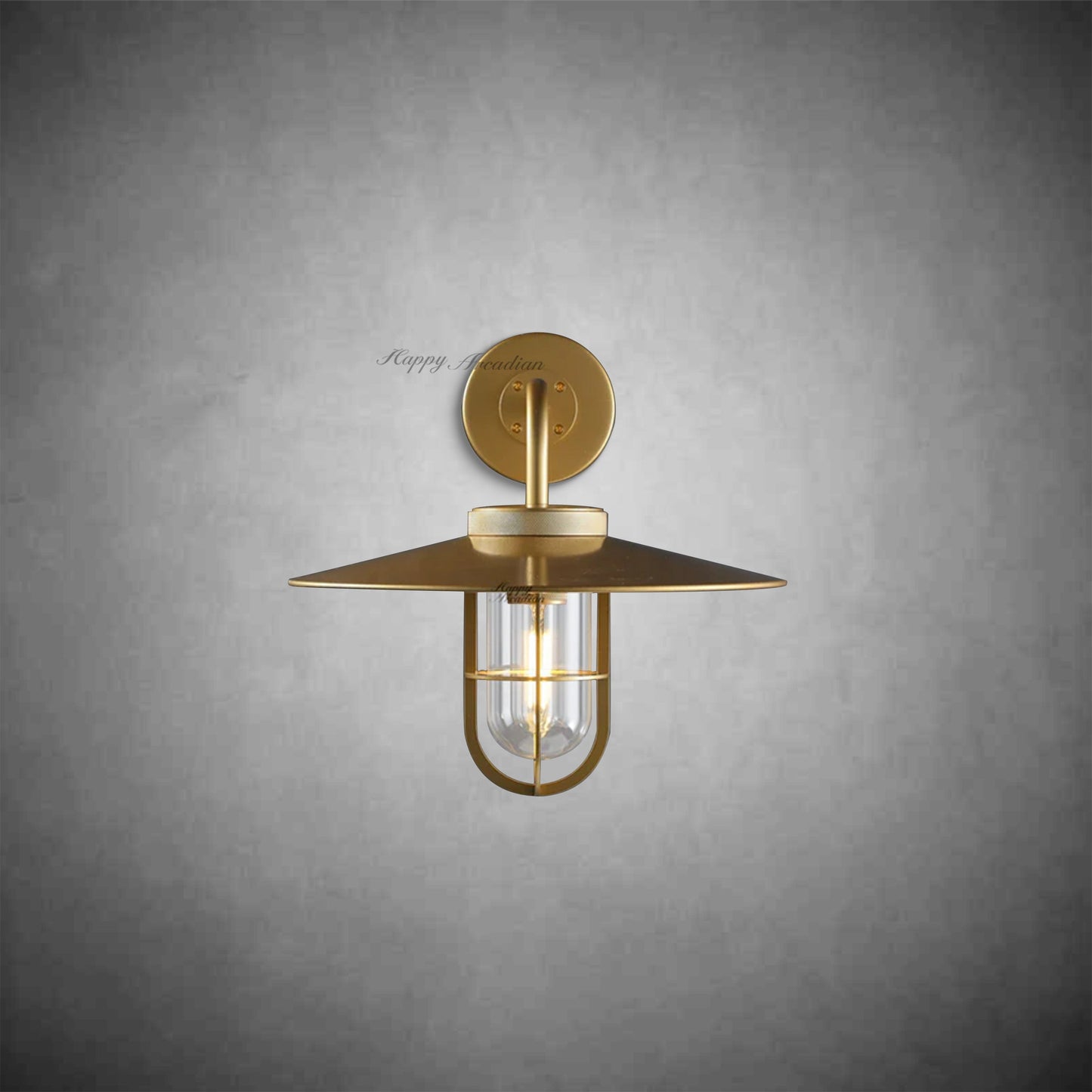 Randy Outdoor Industrial Metal Wall Sconce Fixture